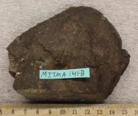 Granodiorite
