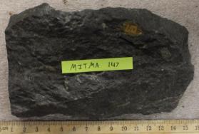 Mattapan Volcanic