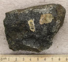 Diorite Gneiss
