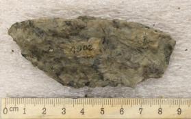 Hornblende Granite (Peabody Type)