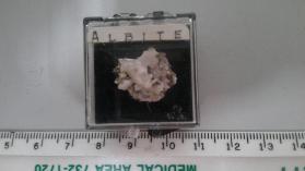 Albite