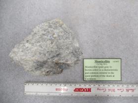 Monticellite