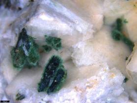 Aegirine