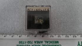 Actinolite