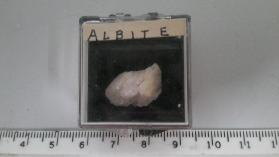 Albite