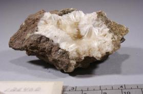 NATROLITE