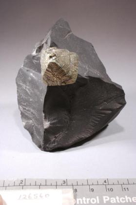 Pyrite