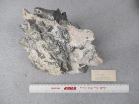 Palygorskite