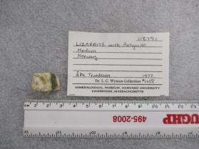 Lizardite