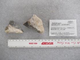 Hedenbergite