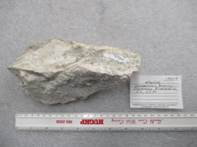 Afwillite